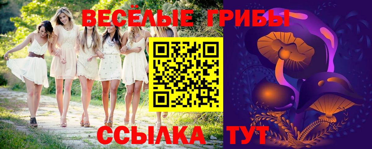 Галлюциногенные грибы ЛСД Алатырь